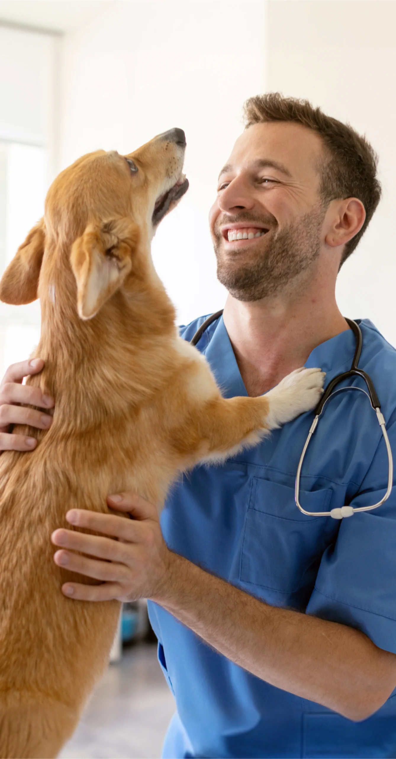 Medicina Veterinária