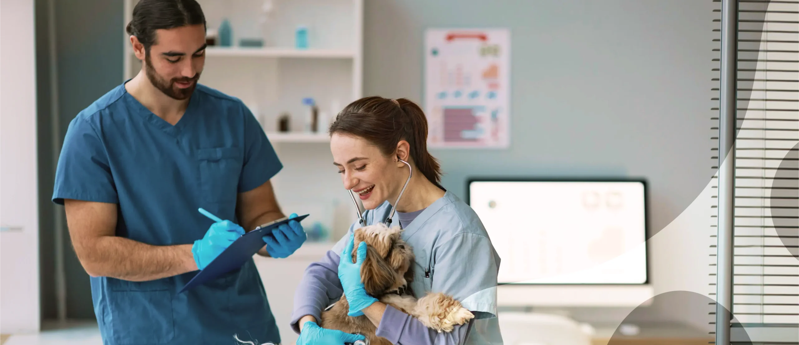 Veterinários YBS